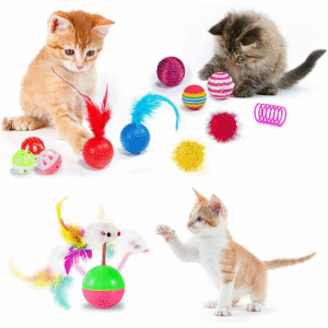 31 PCS Cat Toys